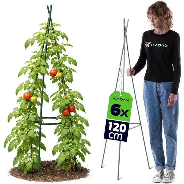 Stożkowka podpora ogrodowa Ambillou 3-elementowa 120 cm zielona 6 szt.
