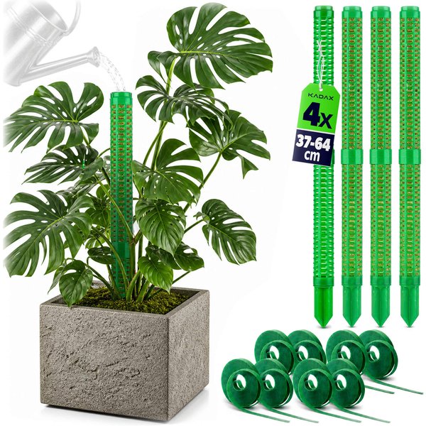 Palik do mchu Vayrac 29 x 4 cm zielony 4 szt.