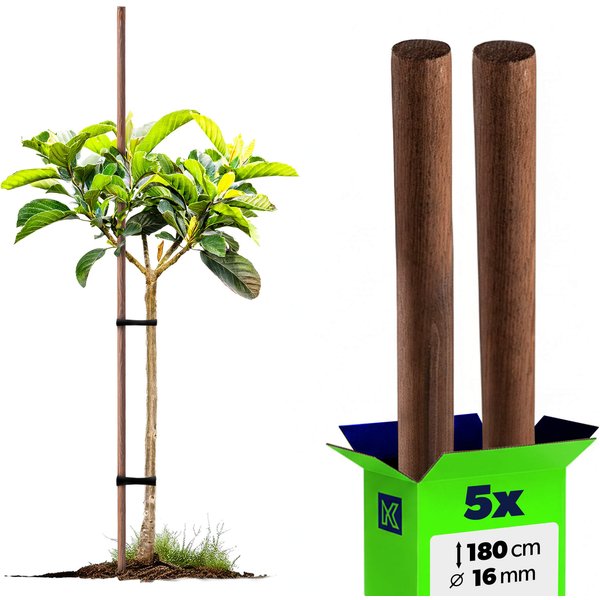 Podpora do roślin drewniana Espe palik 16 mm x 180 cm 5szt.