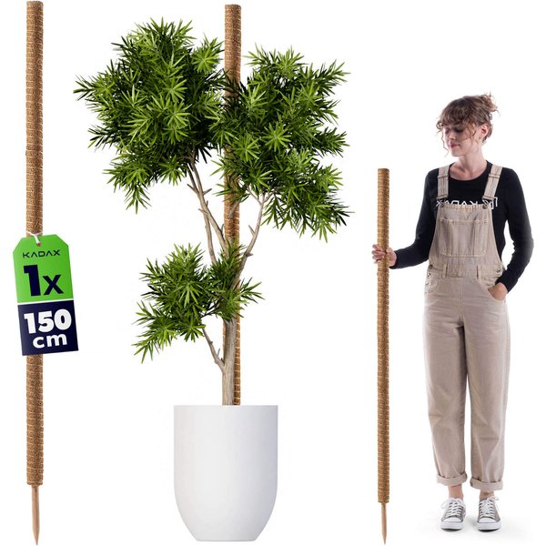 Tyczka do roślin kokosowa Cande 150 cm podpora doniczkowa 1 szt.