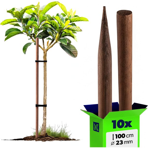 Podpora do roślin drewniana Utre palik impregnowany 23 mm x 100 cm 10 szt.