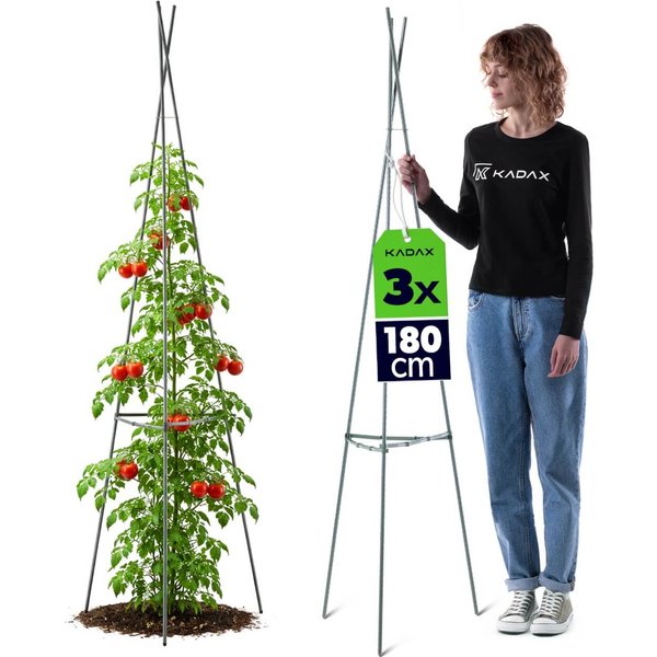 Stożkowka podpora ogrodowa Ambillou 3-elementowa 180 cm zielona 3 szt.