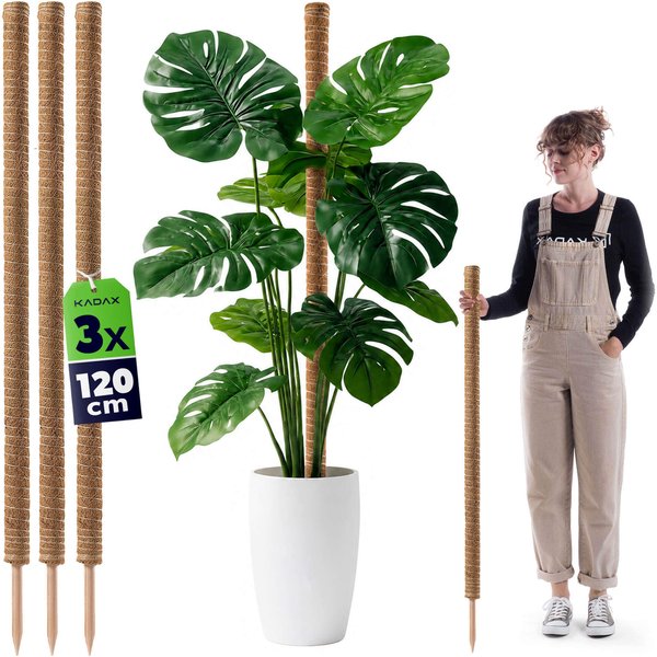 Tyczka do roślin kokosowa Cande 120 cm podpora doniczkowa 3 szt.