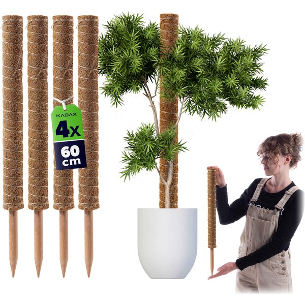 Tyczka do roślin kokosowa Cande 60 cm podpora doniczkowa 4 szt.