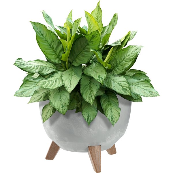 Misa na kwiaty z nóżkami Mably 29 cm szary beton