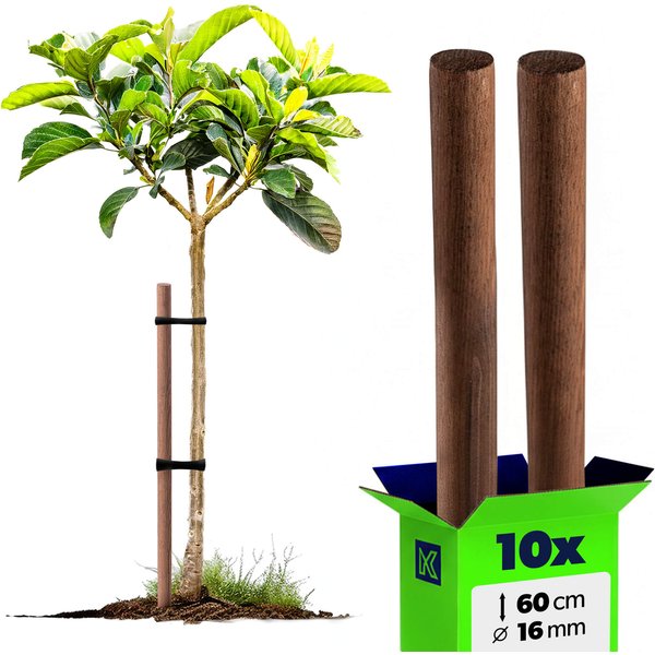 Podpora do roślin drewniana Espe palik 16 mm x 60 cm 10szt.