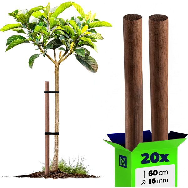 Podpora do roślin drewniana Espe palik 16 mm x 60 cm 20szt.