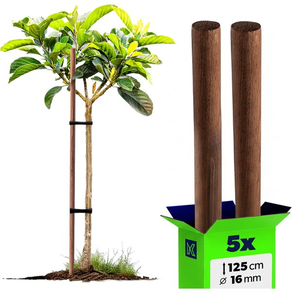 Podpora do roślin drewniana Espe palik 16 mm x 125 cm 5 szt.