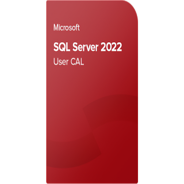 Microsoft Sql Server 2022 Standard 50 User Cal - Licencja Esd Dla Firm-image