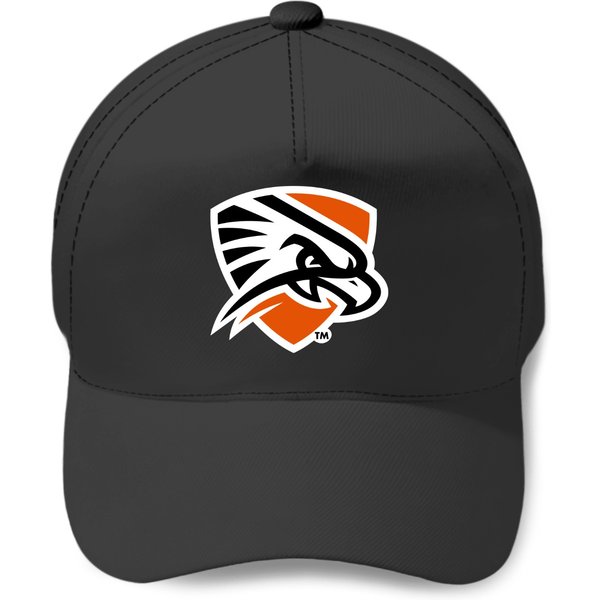 Texas Permian Basin Falcons Baseball Caps-image