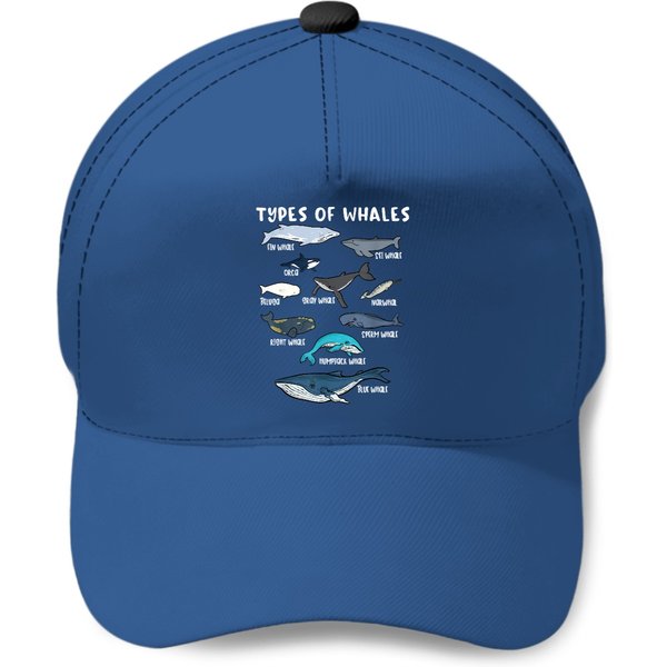 Types Of Whales Ocean Whales Baseball Cap-image