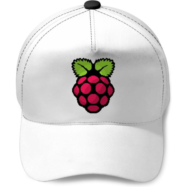 Raspberry Pi Pixel Logo Baseball Caps-image