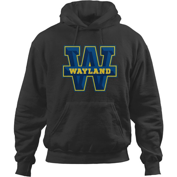 Club Of Wayland Baptist Pioneers College Team Hoodies-image