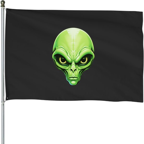 Green Alien With Wide Eyes And Small Mouth House Flags-image