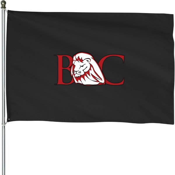 Bryan University Lion, College Logo House Flags-image