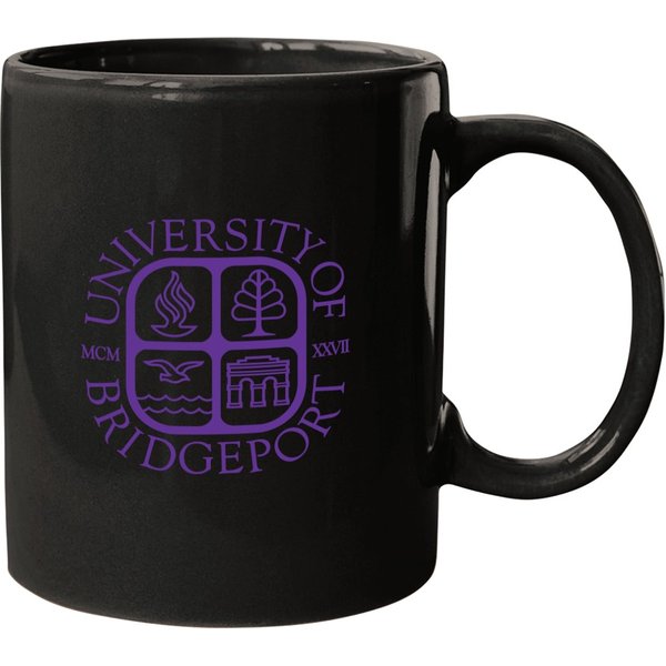 University Of Bridgeport Logo And Seal Mugs
