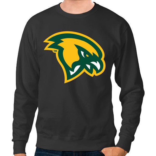 Fitchburg State Falcons Merchan And Gifts Sweatshirts
