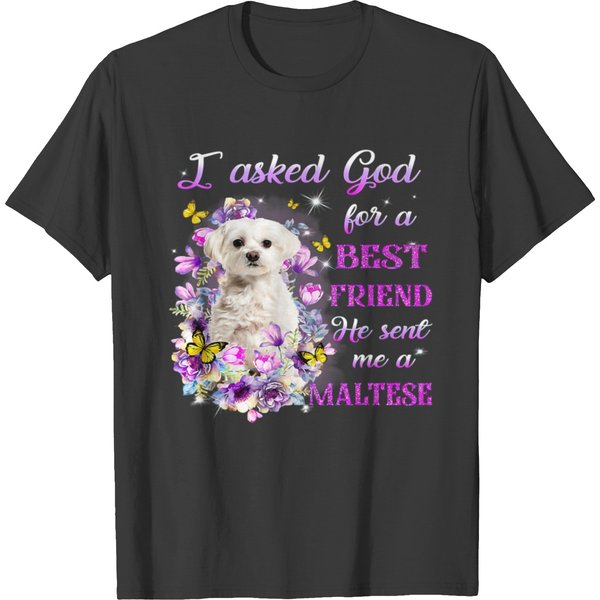 I Asked God For A Friend He Sent Me My Maltese T-Shirts-image