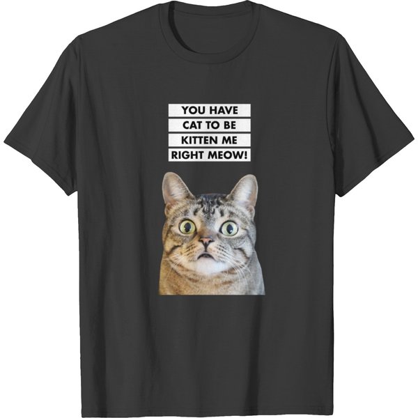You Have Cat To Be Kitten Me Right Meow! Funny Cat T-Shirt-image