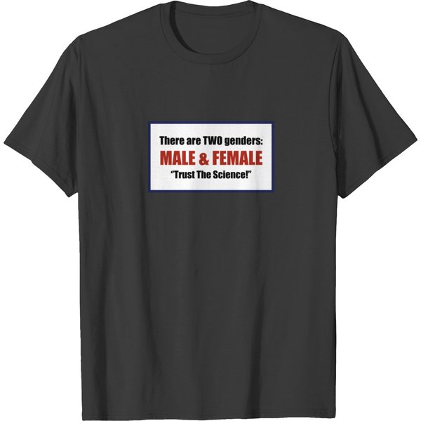 There Are Two Genders: Male & Female. T-Shirt-image