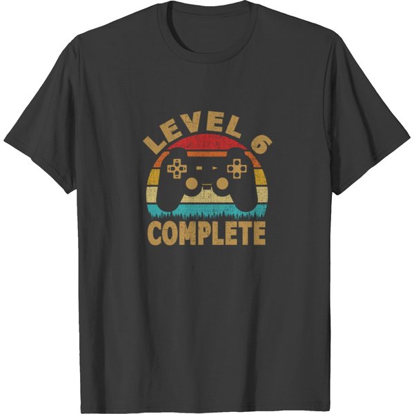 Level 6 Complete Vintage 6Th Wedding Anniversary T-Shirt-image