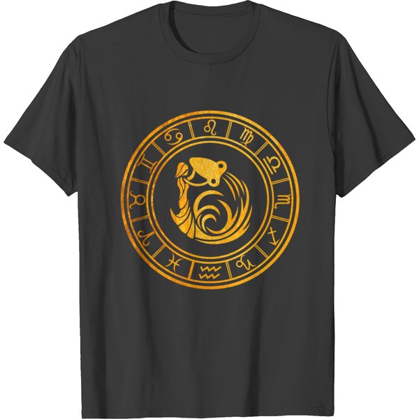 Aquarius S, Aquarius Zodiac , Zodiac Hoodie T-Shirt-image
