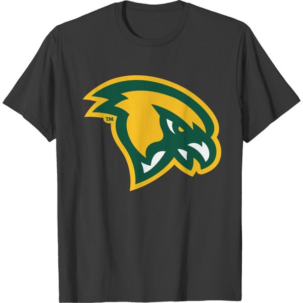 Fitchburg State Falcons Merchan And Gifts T-Shirts-image
