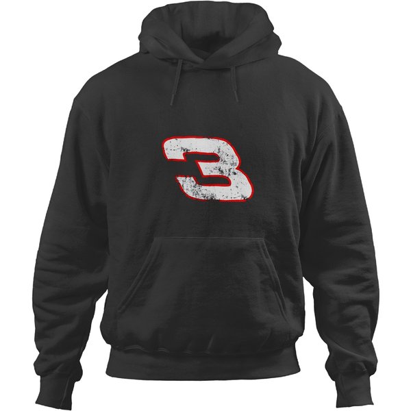 Dale Earnhardt 3 Distressed Hoodies-image