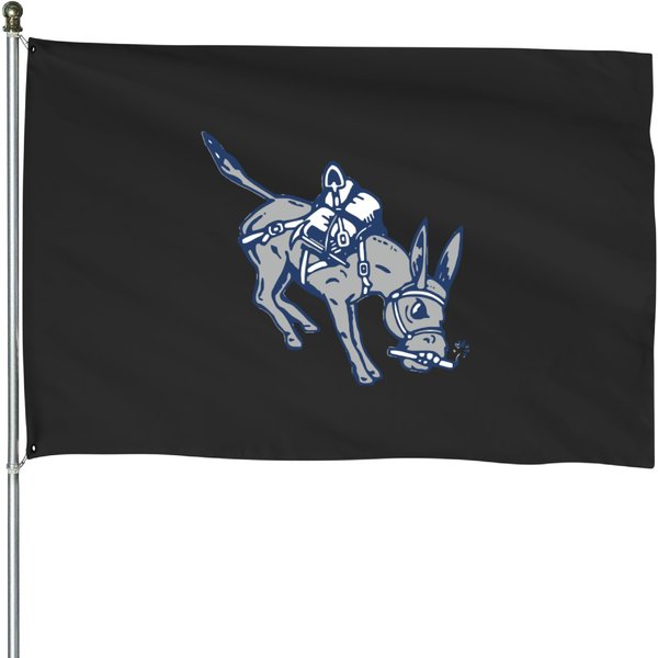 Colorado School Of Mines Athletic House Flags-image