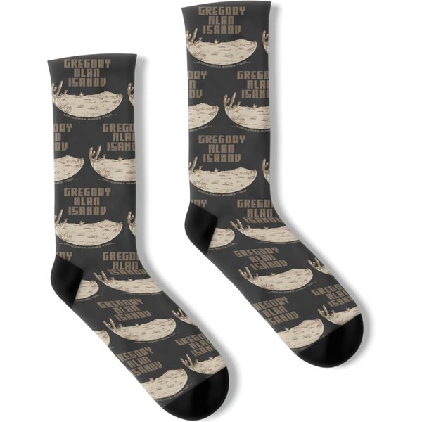 Gregory Alan Isakov Socks-image