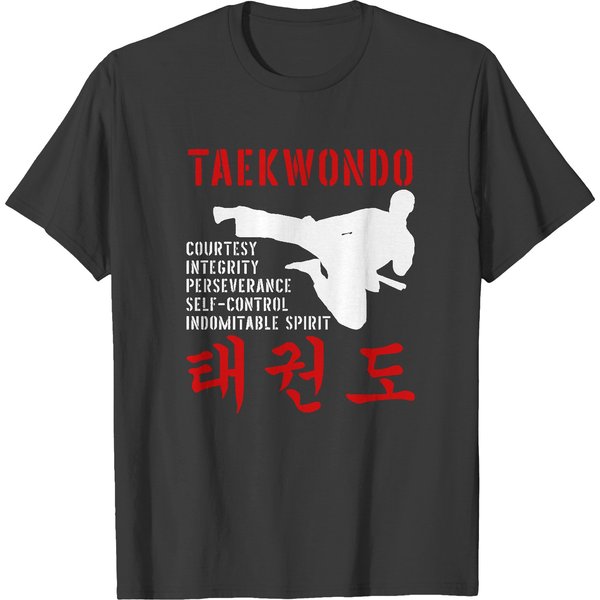 Taekwondo T- Shirt Taekwondo Tenets Martial Arts T- Shirt T-Shirts-image