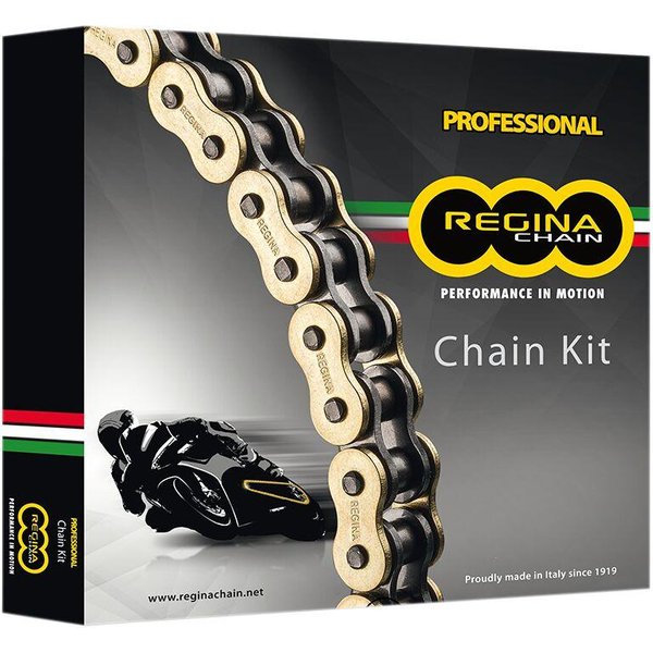 KD041 - Regina 520 ZRT Chain & Sprocket Kit For Ducati Monster 696 2008-2014 108 Links 15T X 45T
