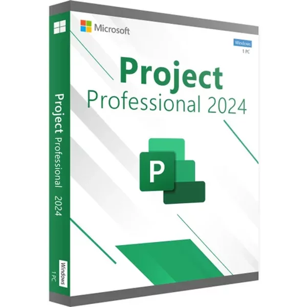 Project 2024 Professionnel (bind)