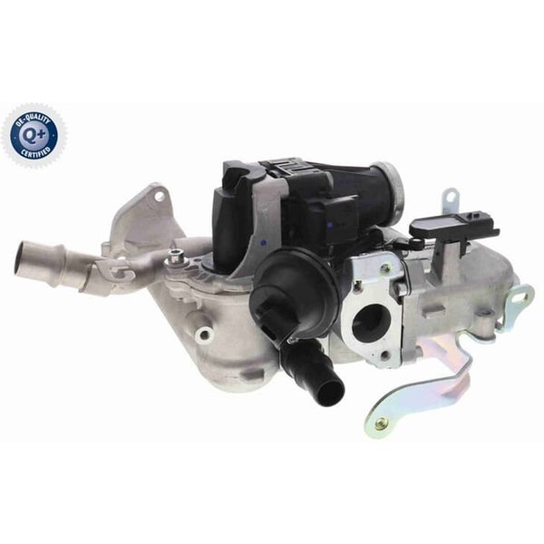 Vemo Agr-Ventil Citroen Fiat Ford Peugeot Volvo-image