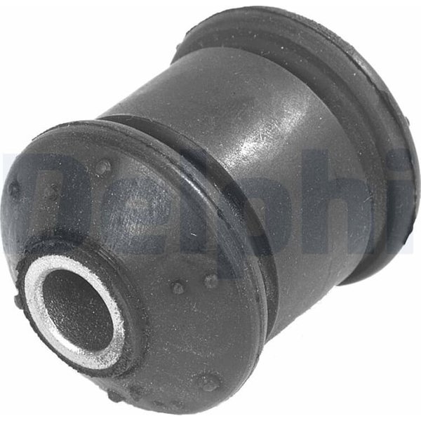 Delphi Querlenkerlager Opel Astra Calibra Vectra TD248W-image