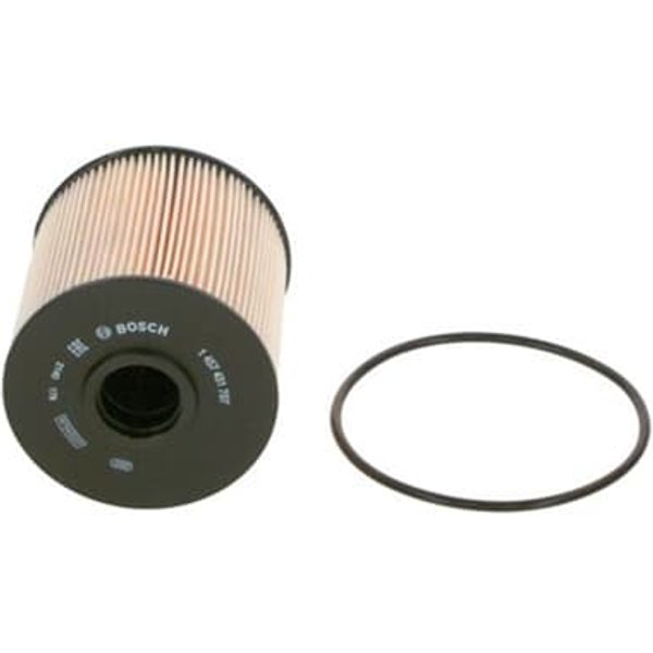 Bosch Kraftstofffilter Mercedes Vario-image