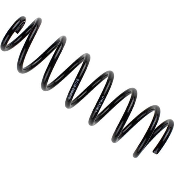 Bilstein Feder Hinten Renault Megane 3-image