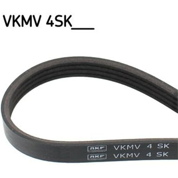 SKF Keilrippenriemen Fiat Doblo 119 223 1,6-image