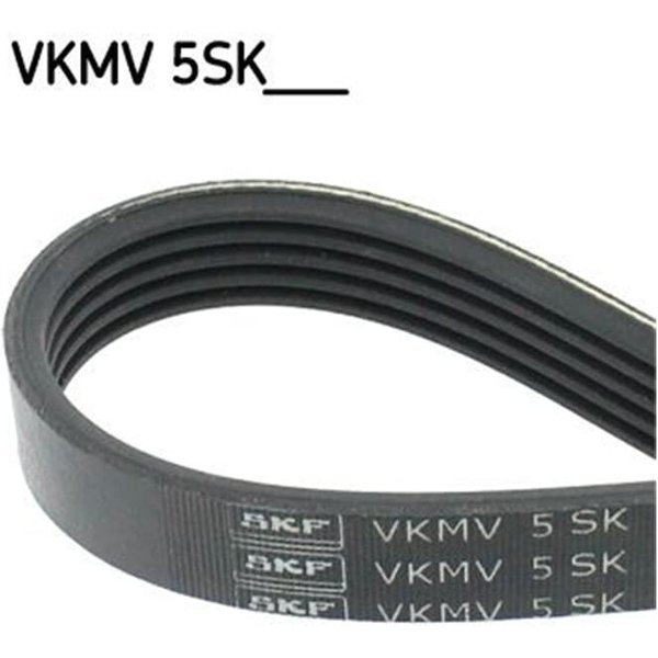SKF Keilrippenriemen Fiat Doblo Marea Stilo 1,6-image