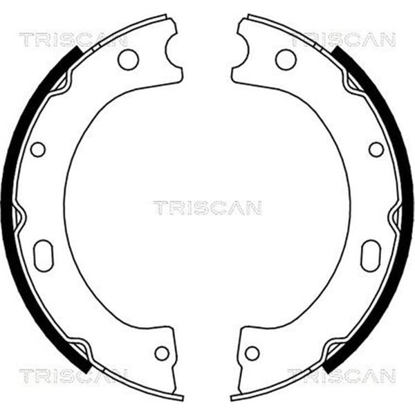 Triscan Bremsbacken Nissan Cabstar Nt400 Patrol-image