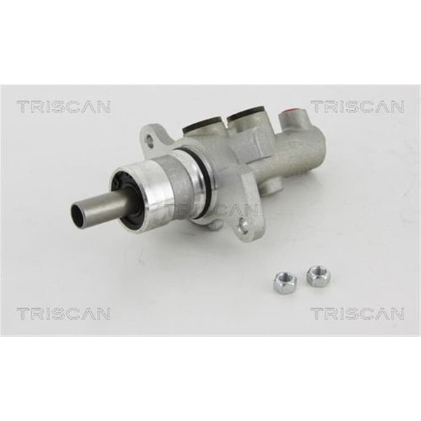 Triscan Hauptbremszylinder BMW X5 E53-image
