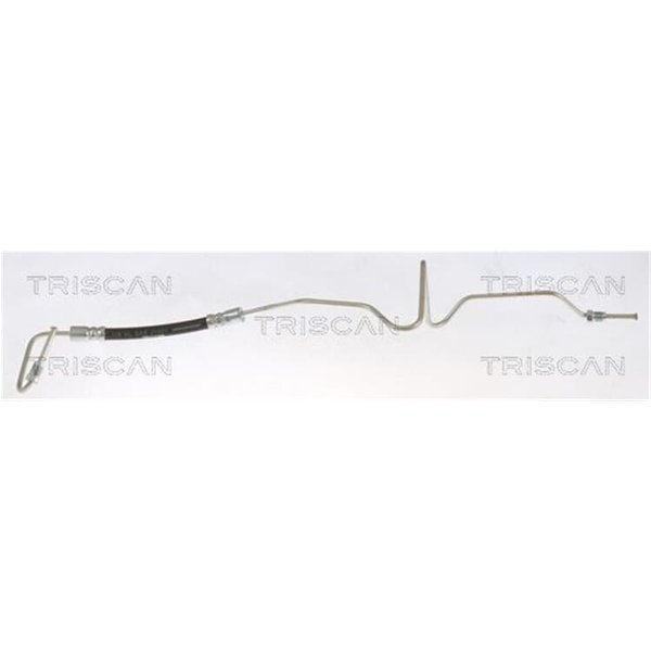 Triscan Bremsschlauch Hinten Links Renault Espace-image