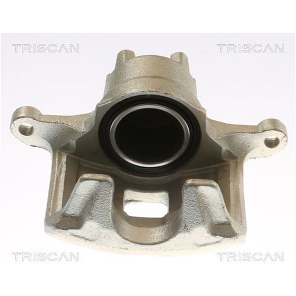 Triscan Bremssattel Vorne Rechts Citroen Jeep Peugeot-image