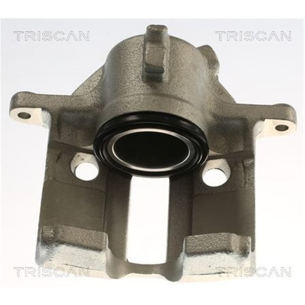 Triscan Bremssattel Vorne Rechts 817528116 Citroen Berlingo Xsara Peugeot 206 306 Partner-image