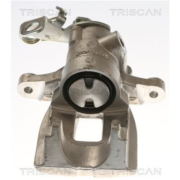 Triscan Bremssattel Hinten Links Citroen C4 Peugeot 307 817528221-image