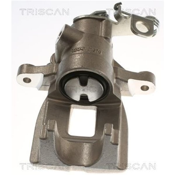 Triscan Bremssattel Hinten Rechts Citroen C4 Peugeot 307 817528222-image