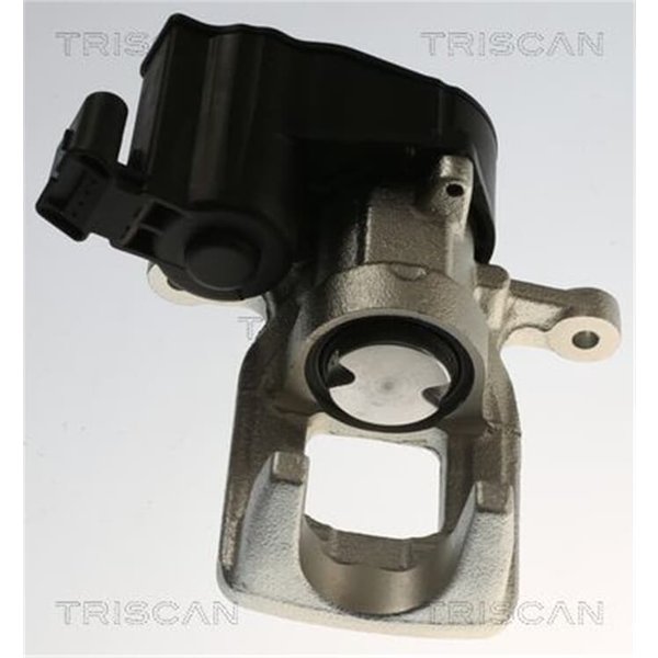Triscan Bremssattel Hinten Rechts Citroen C4 Peugeot 3008 308 5008 817528234-image