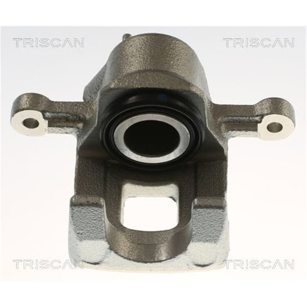 Triscan Bremssattel Hinten Links Hyundai Highway Santa Trajet 817543229-image