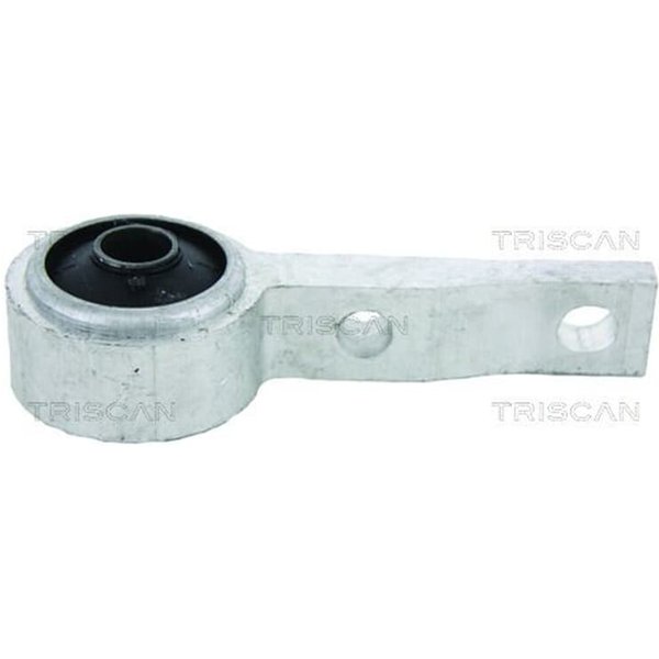 Triscan Querlenkerlager Nissan Primera P12-image