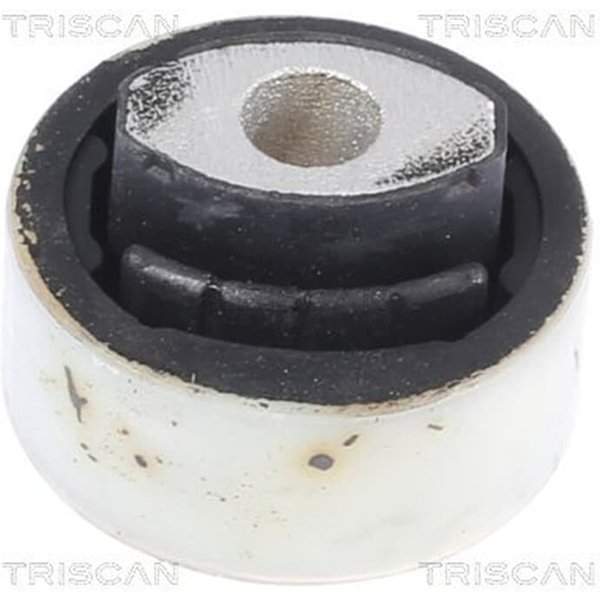 Triscan Querlenkerlager Fiat Punto 188-image